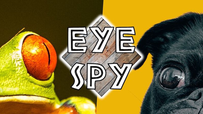 Eye Spy 2